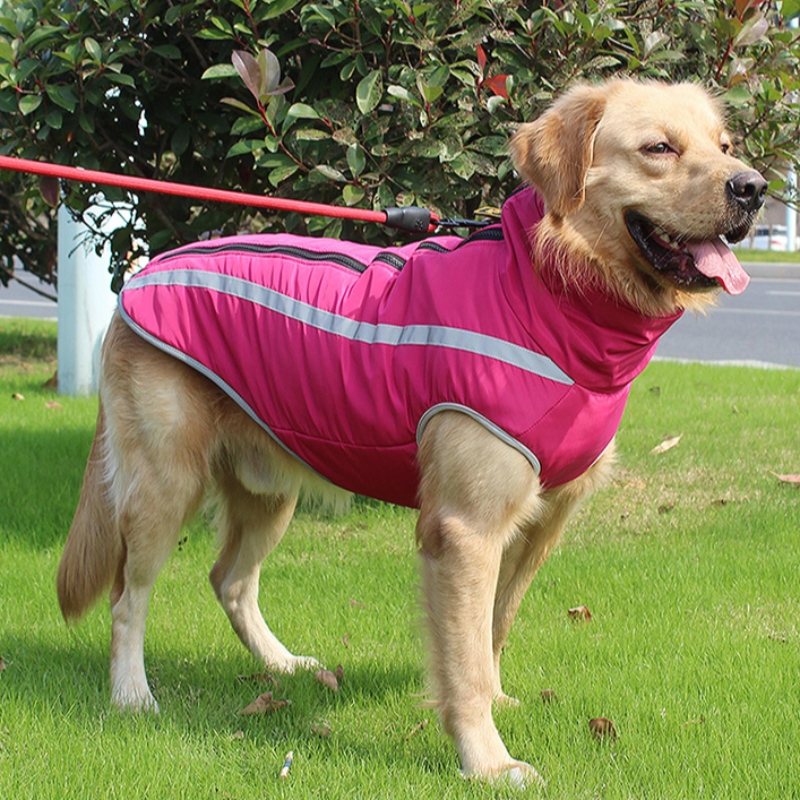 Amazon Top Sælger Personlig Hund Harness Dog Beklædning Reflekterende ånde til mellemstore og store hunde
