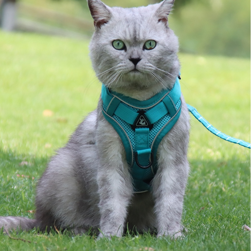 Fashion Pet Vest Type Traction Chest Strap Cat Dog Justerbar indtrækbar trækkraft reb walking hund reb krave